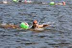 В Кинешме пройдут соревнования по плаванию на открытой воде «Swimcup – Волга»