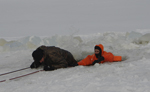 Проведение показных занятий по теме: «Оказание помощи людям, терпящим бедствие на льду»